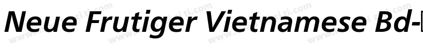 Neue Frutiger Vietnamese Bd字体转换